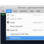 terminal_prefs_3.png