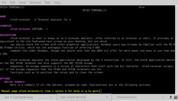 Drop-down Terminal Window with Multiple Tabs