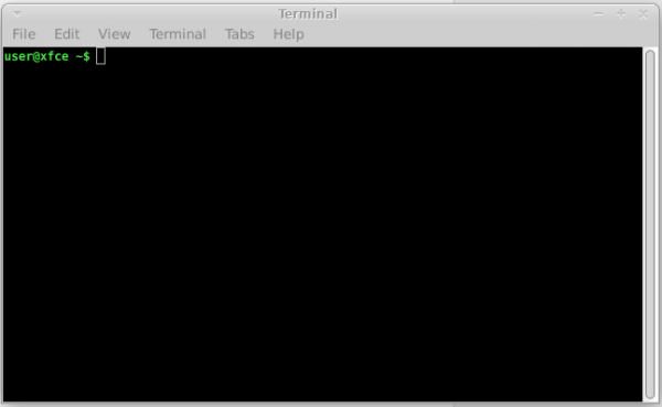 Initial Terminal Window