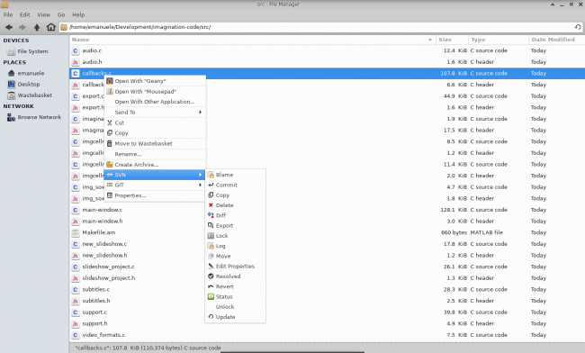 SVN context sub menu show for a version controlled file