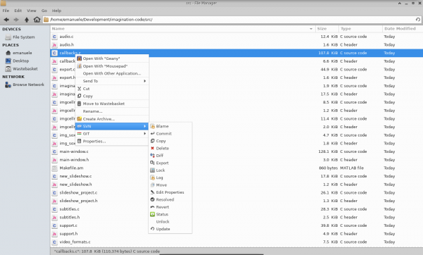 SVN context sub menu show for a version controlled file