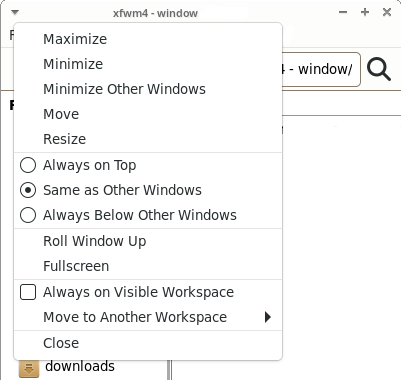 Window Menu Dropdown List